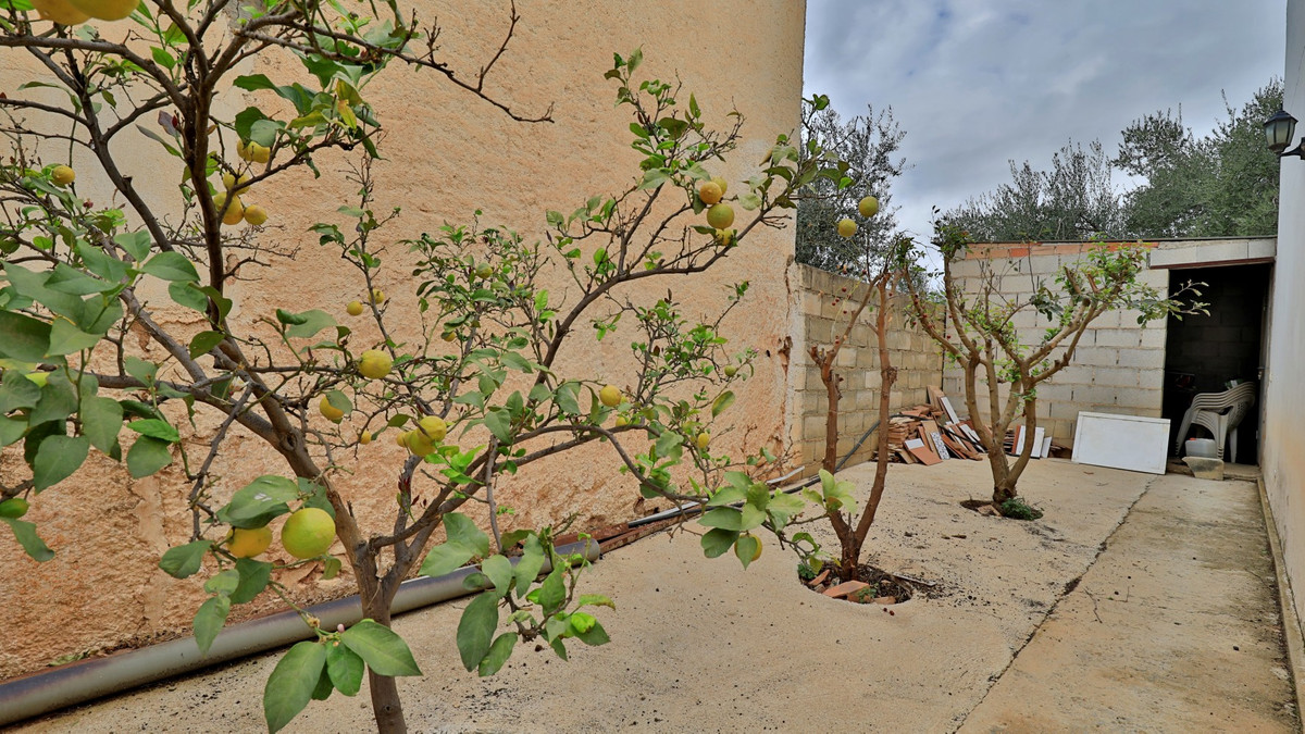Se vende Finca - Cortijo de 6 dormitorios en Costa Del Sol East, Málaga, España