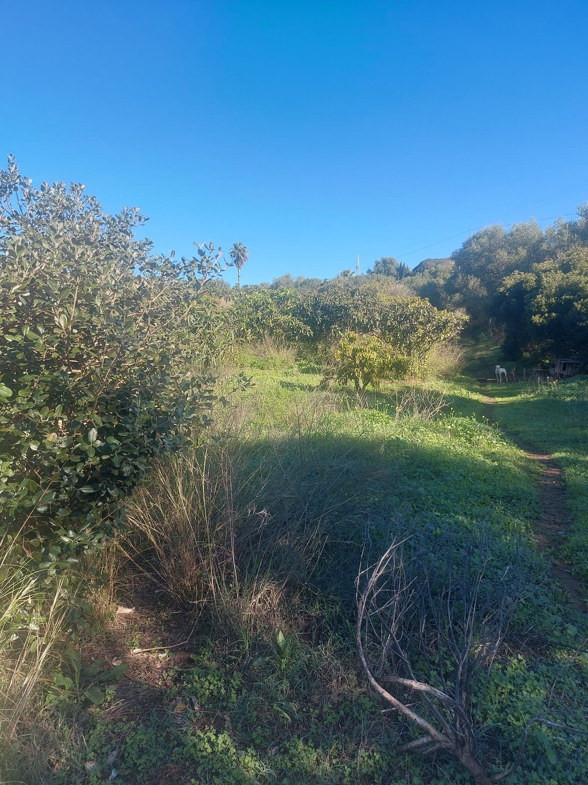 Se vende Finca - Cortijo de 2 dormitorios en Costa Del Sol, Málaga, España