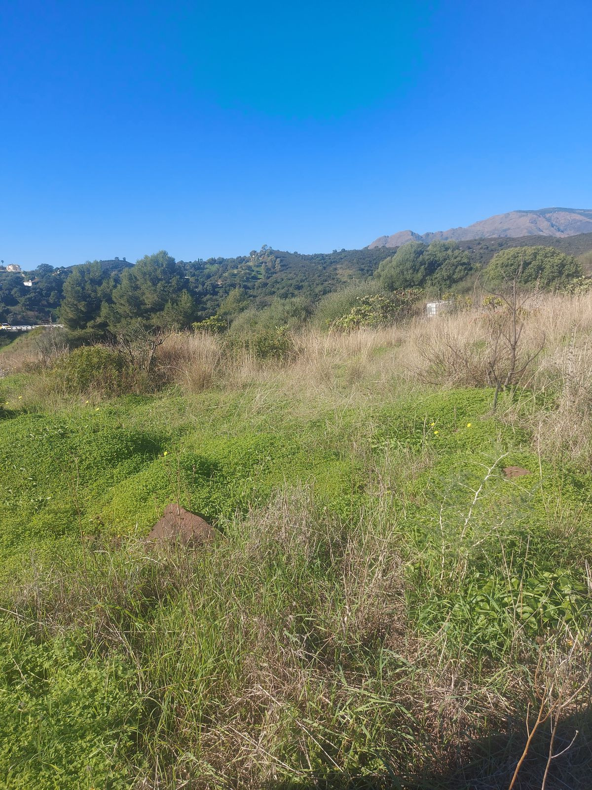 Se vende Finca - Cortijo de 2 dormitorios en Costa Del Sol, Málaga, España