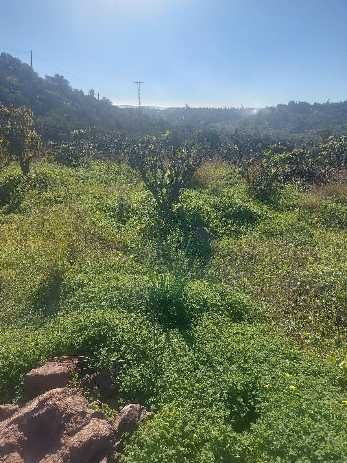Se vende Finca - Cortijo de 2 dormitorios en Costa Del Sol, Málaga, España