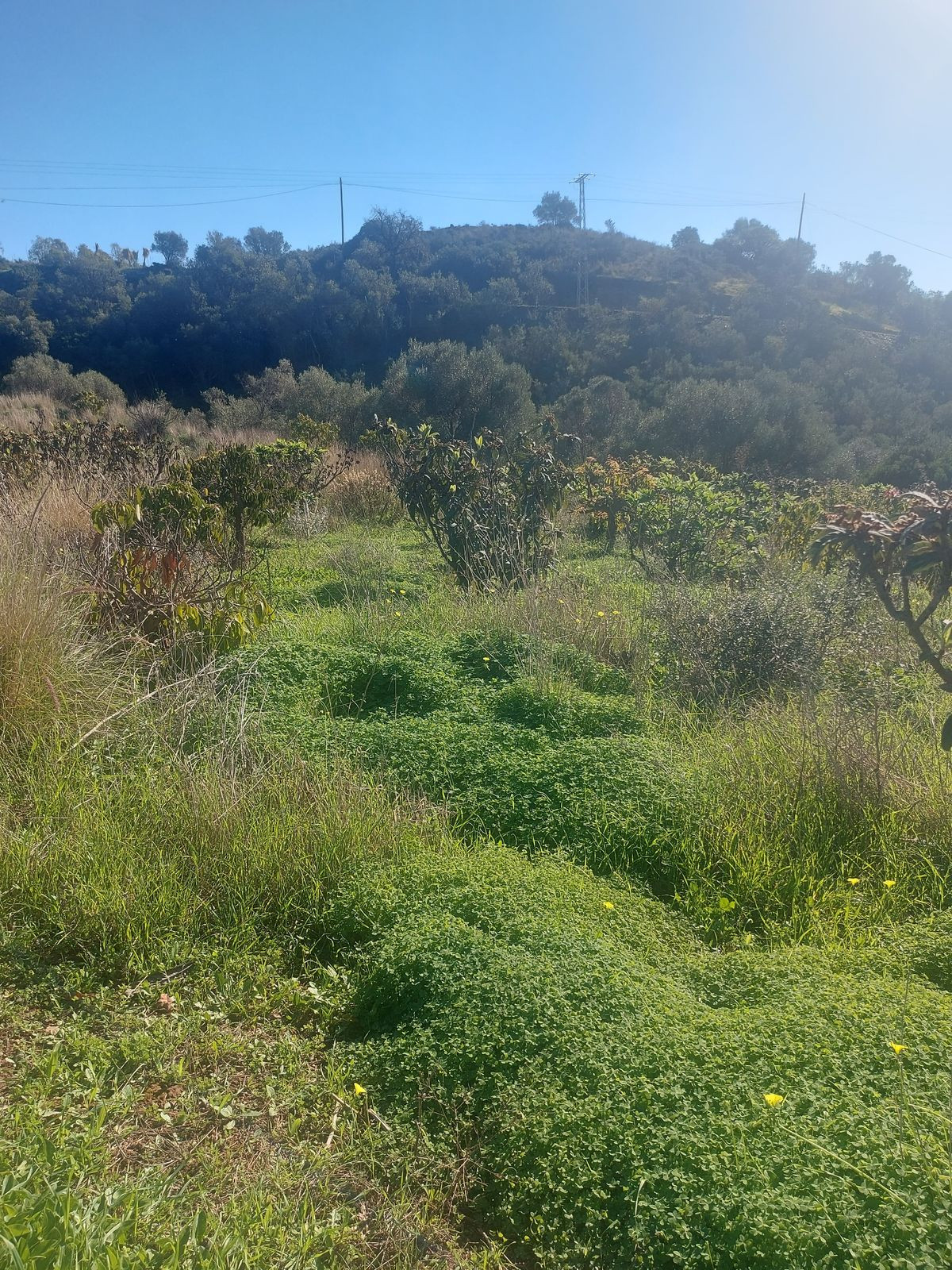Se vende Finca - Cortijo de 2 dormitorios en Costa Del Sol, Málaga, España
