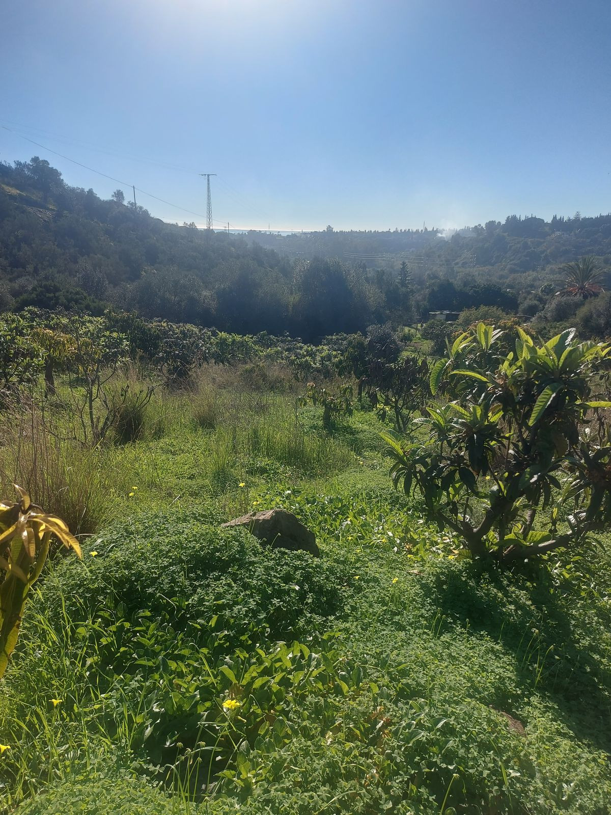 Se vende Finca - Cortijo de 2 dormitorios en Costa Del Sol, Málaga, España