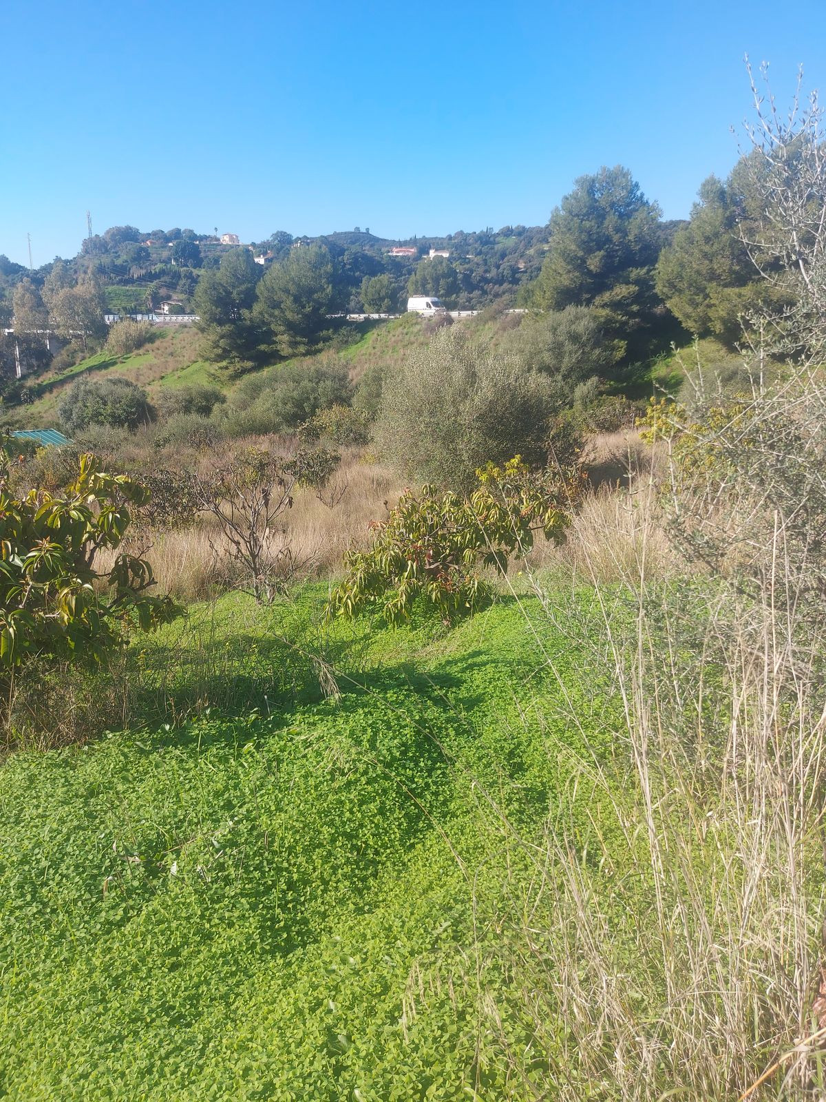 Se vende Finca - Cortijo de 2 dormitorios en Costa Del Sol, Málaga, España
