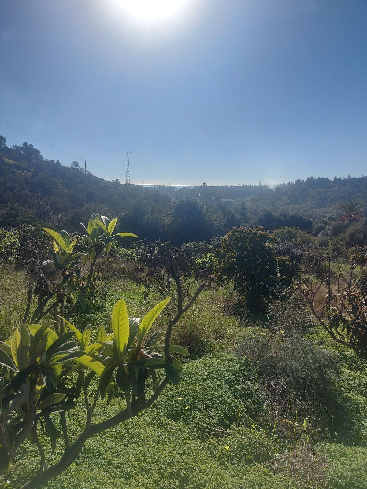 Se vende Finca - Cortijo de 2 dormitorios en Costa Del Sol, Málaga, España