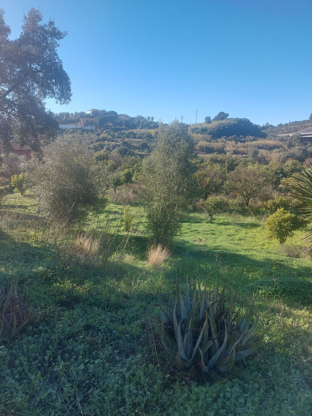Se vende Finca - Cortijo de 2 dormitorios en Costa Del Sol, Málaga, España