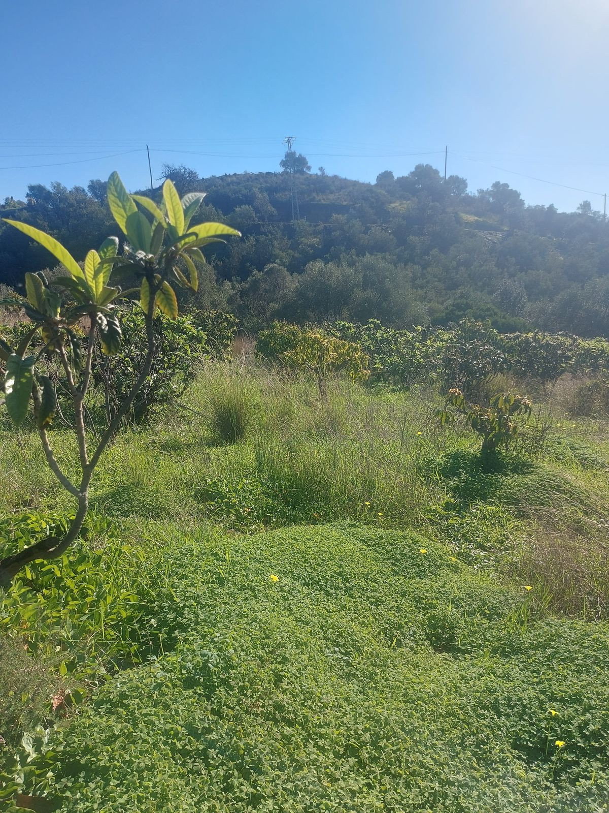 Se vende Finca - Cortijo de 2 dormitorios en Costa Del Sol, Málaga, España