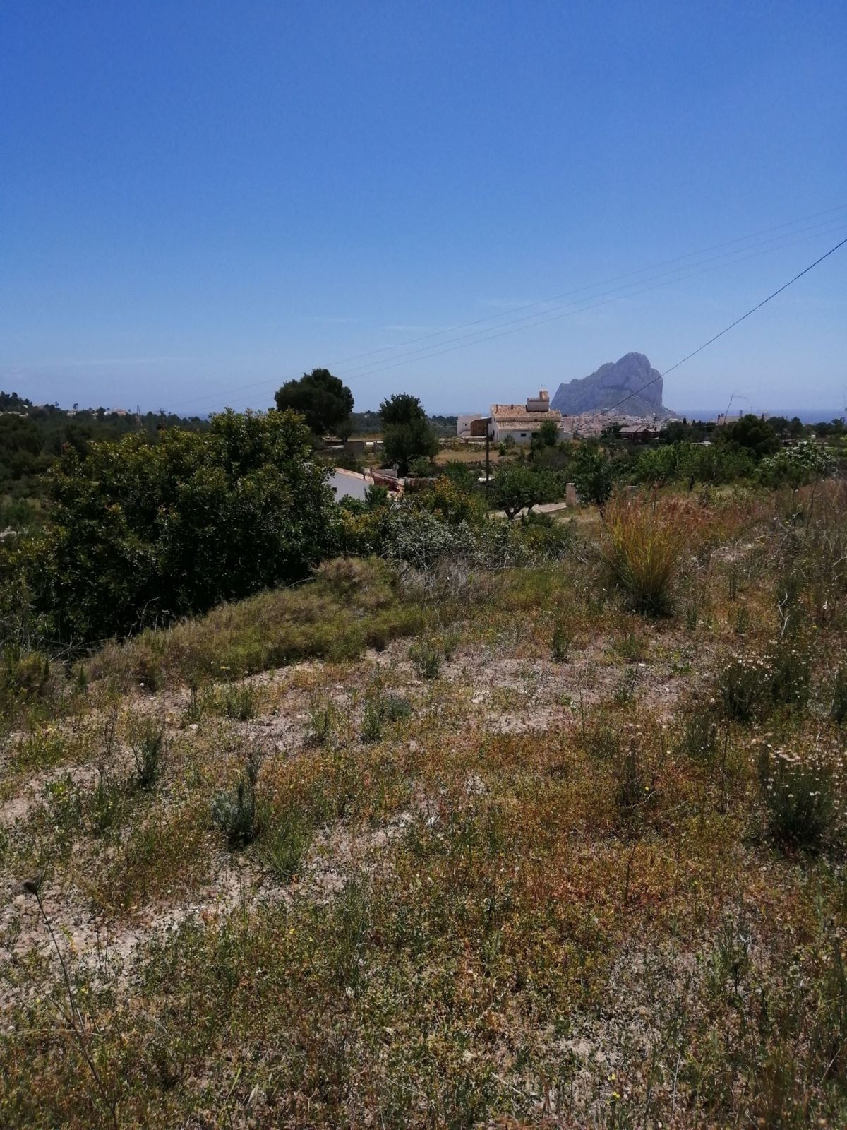 Se vende Terreno Rustico  en Costa Blanca, Alicante, España