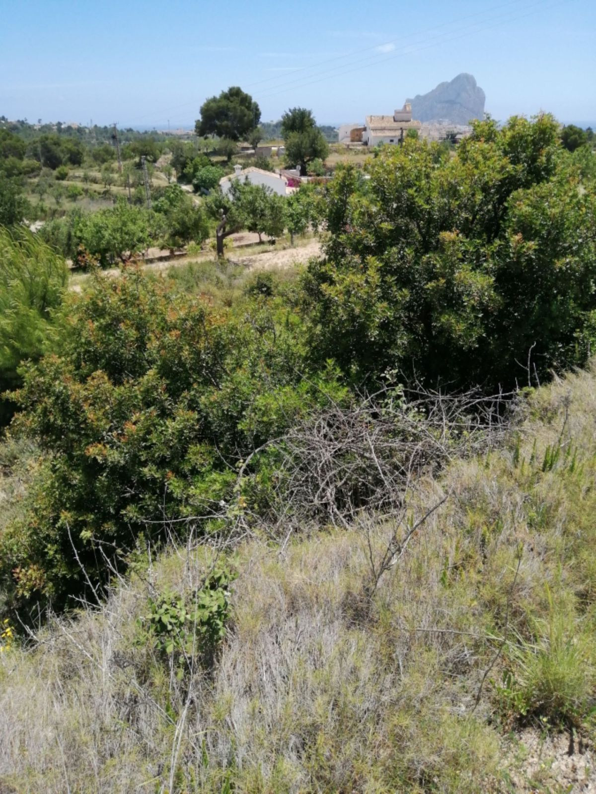 Se vende Terreno Rustico  en Costa Blanca, Alicante, España