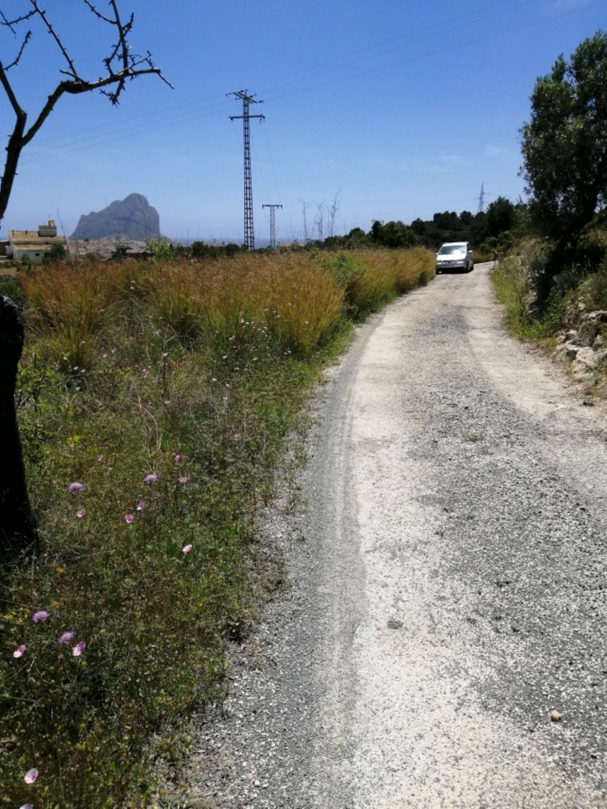Se vende Terreno Rustico  en Costa Blanca, Alicante, España