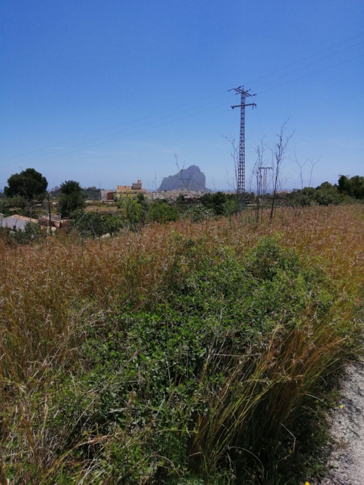 Se vende Terreno Rustico  en Costa Blanca, Alicante, España