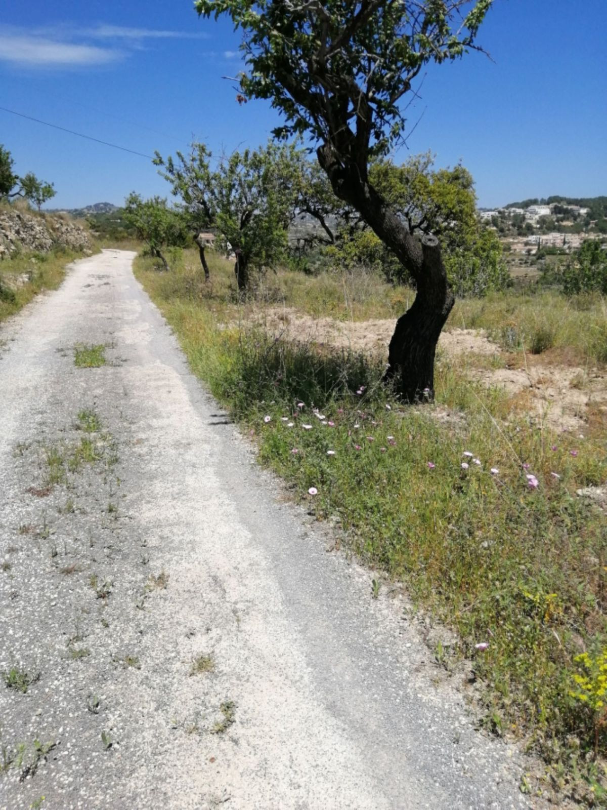 Se vende Terreno Rustico  en Costa Blanca, Alicante, España