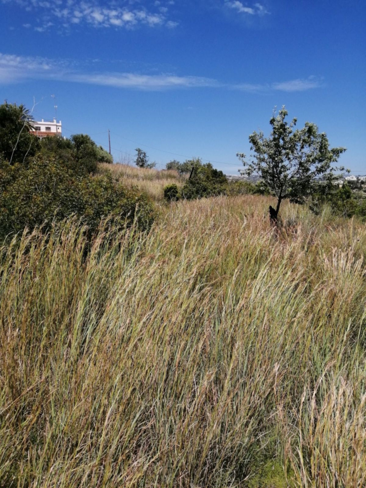Se vende Terreno Rustico  en Costa Blanca, Alicante, España