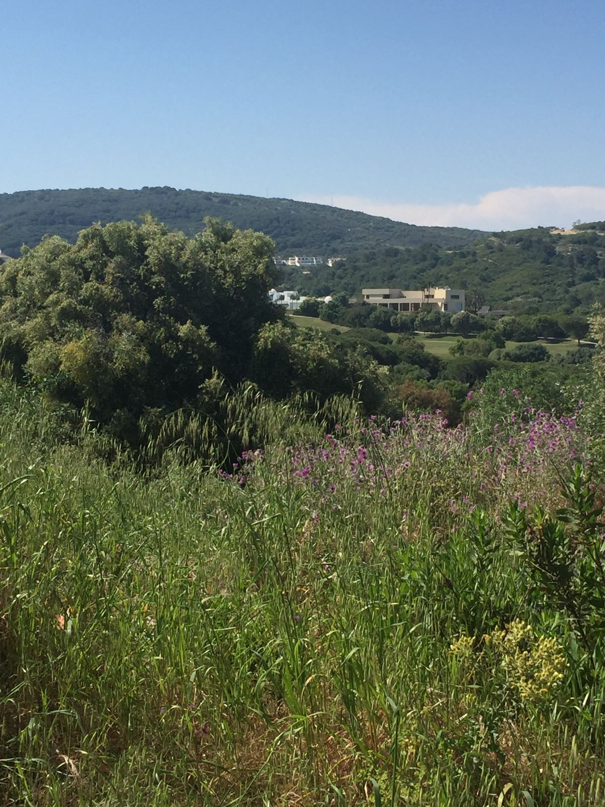 Plots for sale in Sotogrande Costa Del Sol, Cádiz, Spain