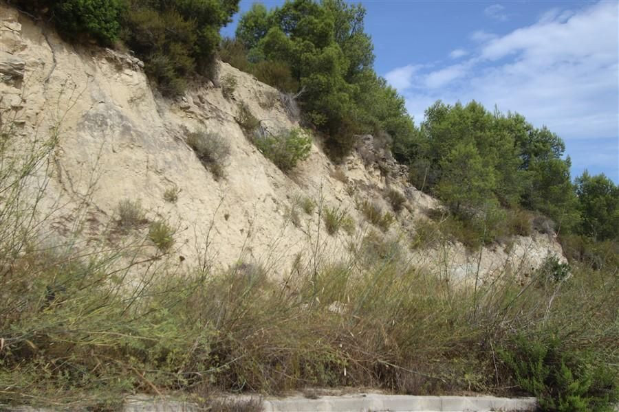Se vende Terreno Rustico  en Costa Blanca, Alicante, España