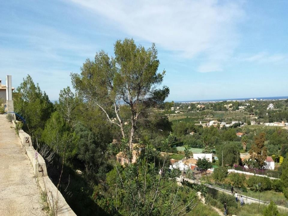 Se vende Terreno Rustico  en Costa Blanca, Alicante, España
