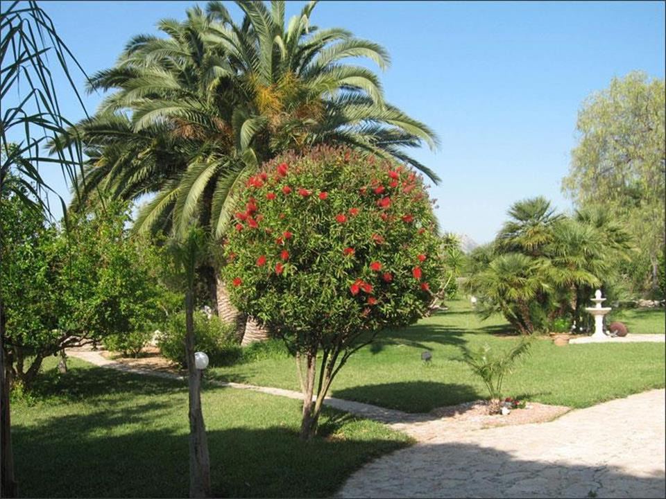 4 Bed Townhouse for sale in Denia Costa Blanca, Alicante, Spain