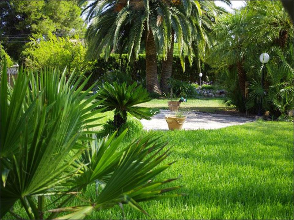 4 Bed Townhouse for sale in Denia Costa Blanca, Alicante, Spain