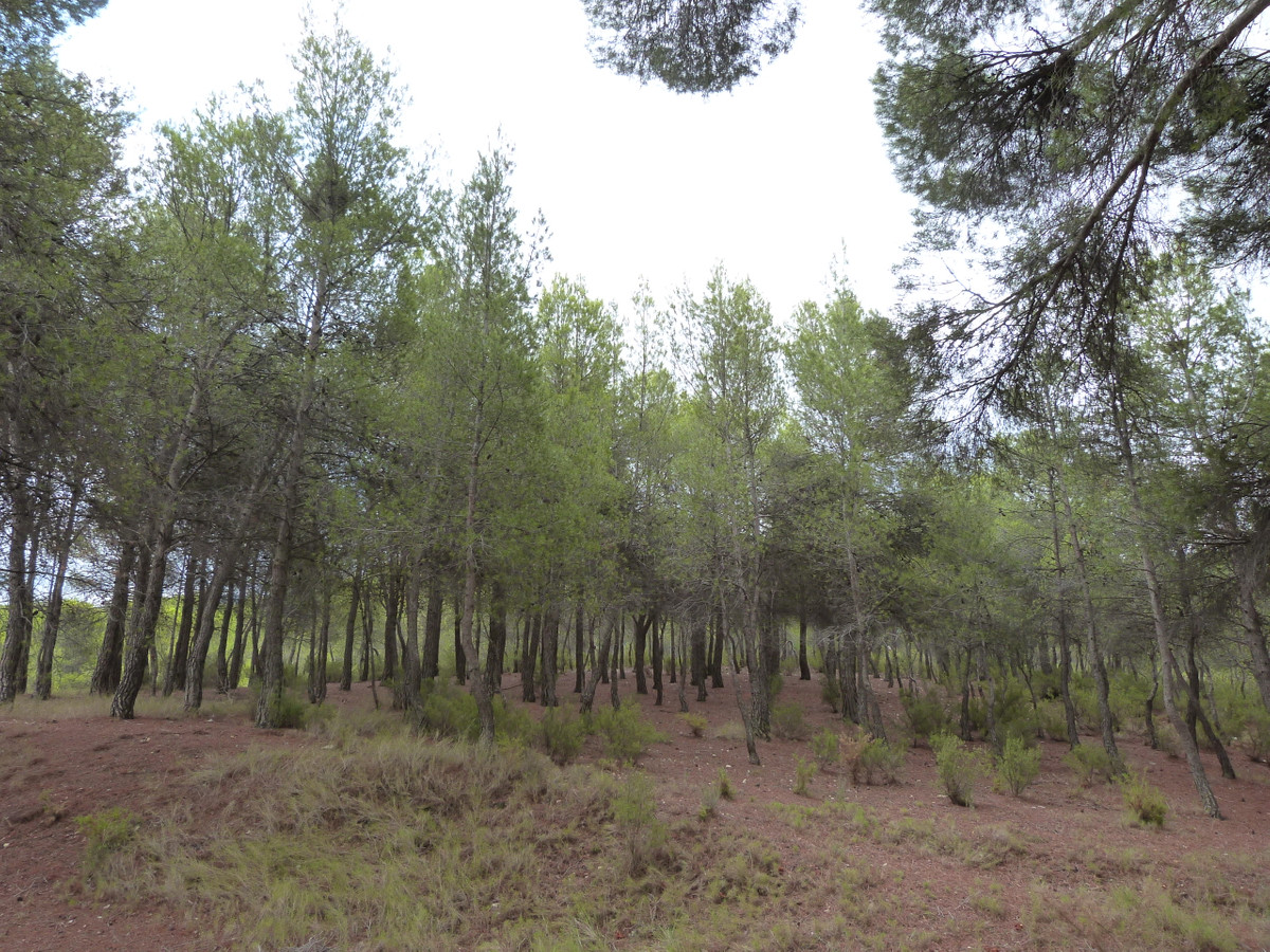 15 Bed Townhouse for sale in Ibi Costa Blanca, Alicante, Spain