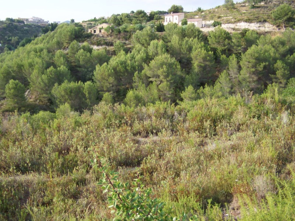 Se vende Terreno Urbano  en Costa Blanca, Alicante, España