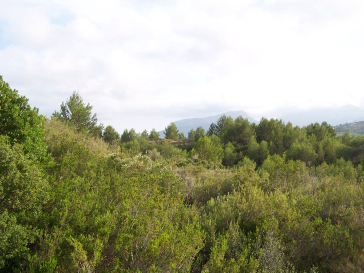 Se vende Terreno Urbano  en Costa Blanca, Alicante, España