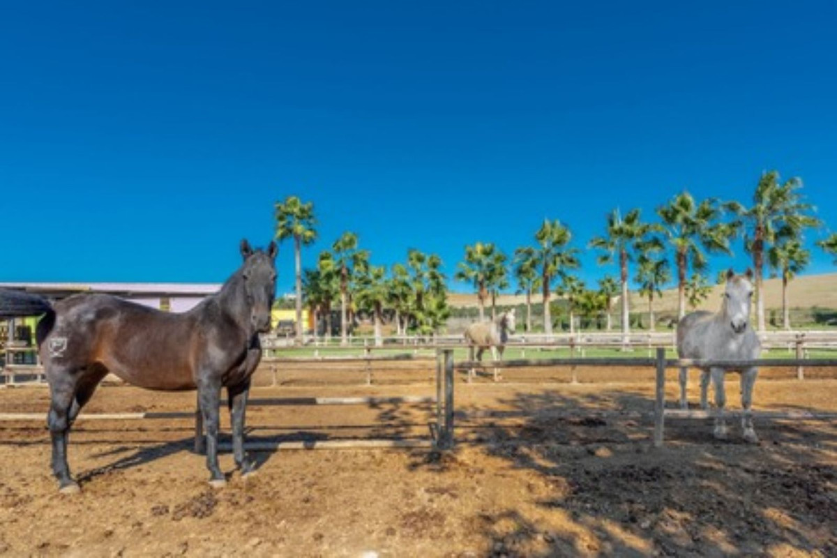 Se vende Finca - Cortijo de 8 dormitorios en Costa Del Sol, Málaga, España