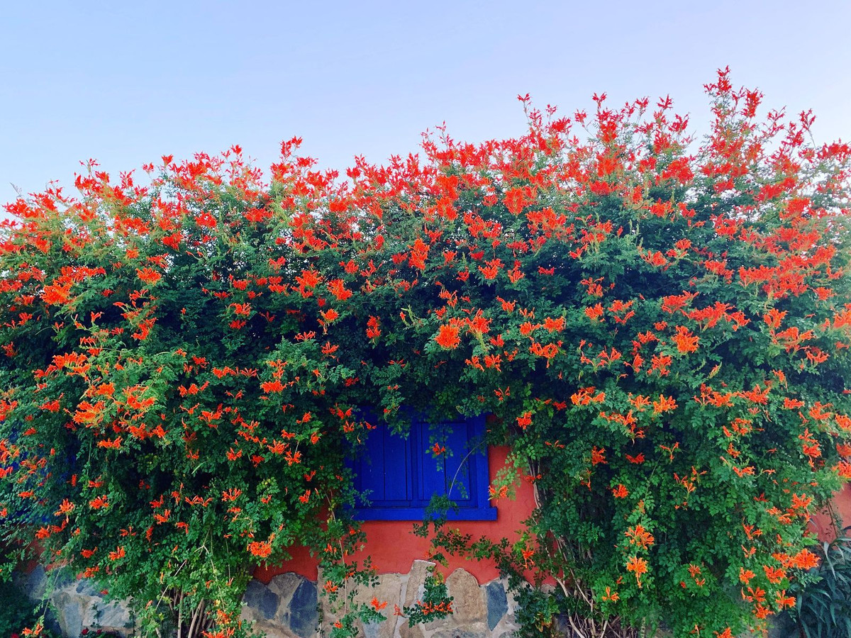 Se vende Finca - Cortijo de 8 dormitorios en Costa Del Sol, Málaga, España