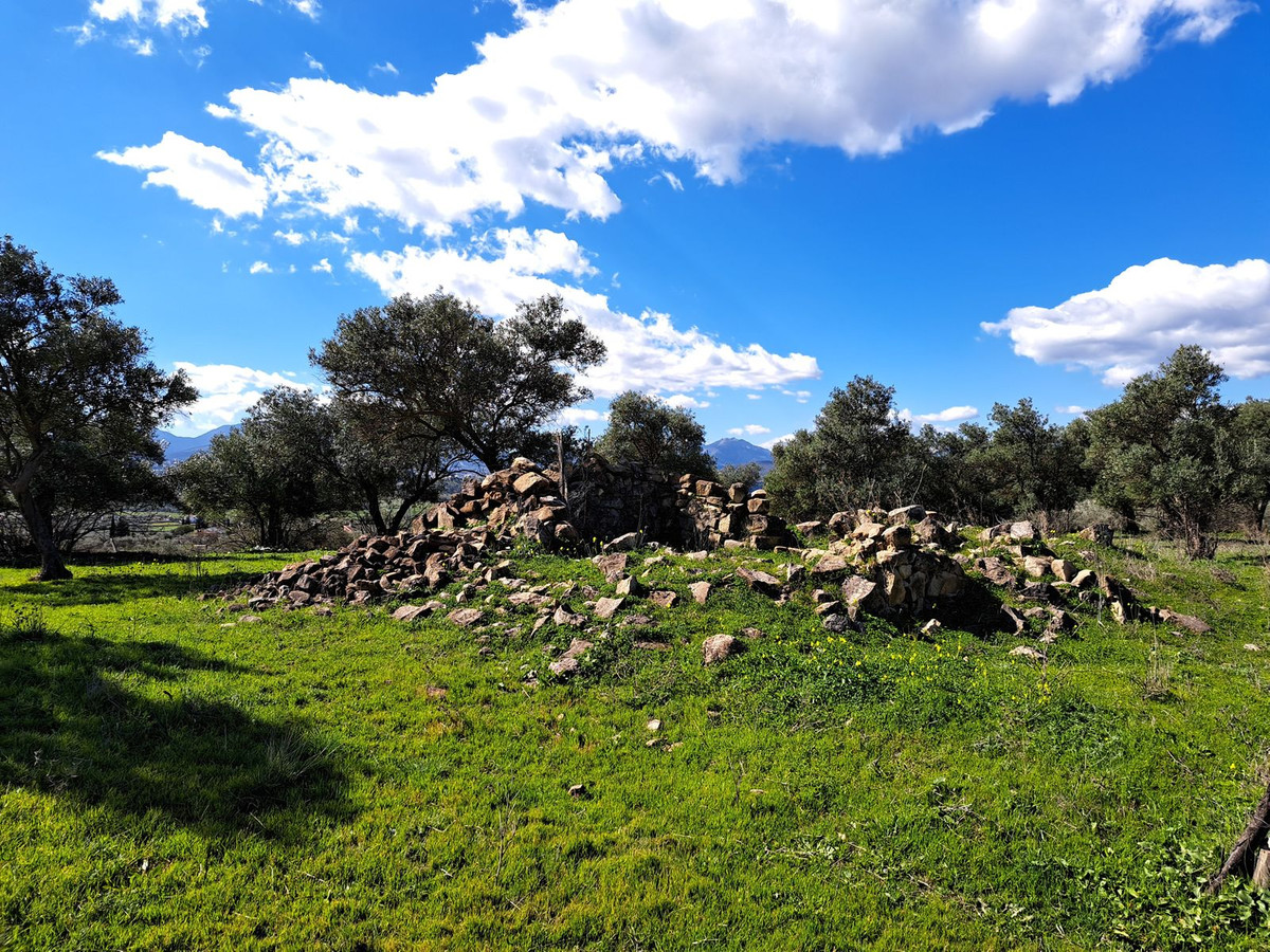 Se vende Terreno Rustico  en Costa Del Sol, Málaga, España