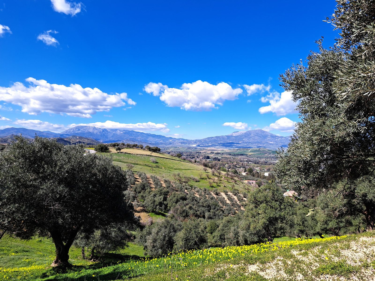 Se vende Terreno Rustico  en Costa Del Sol, Málaga, España