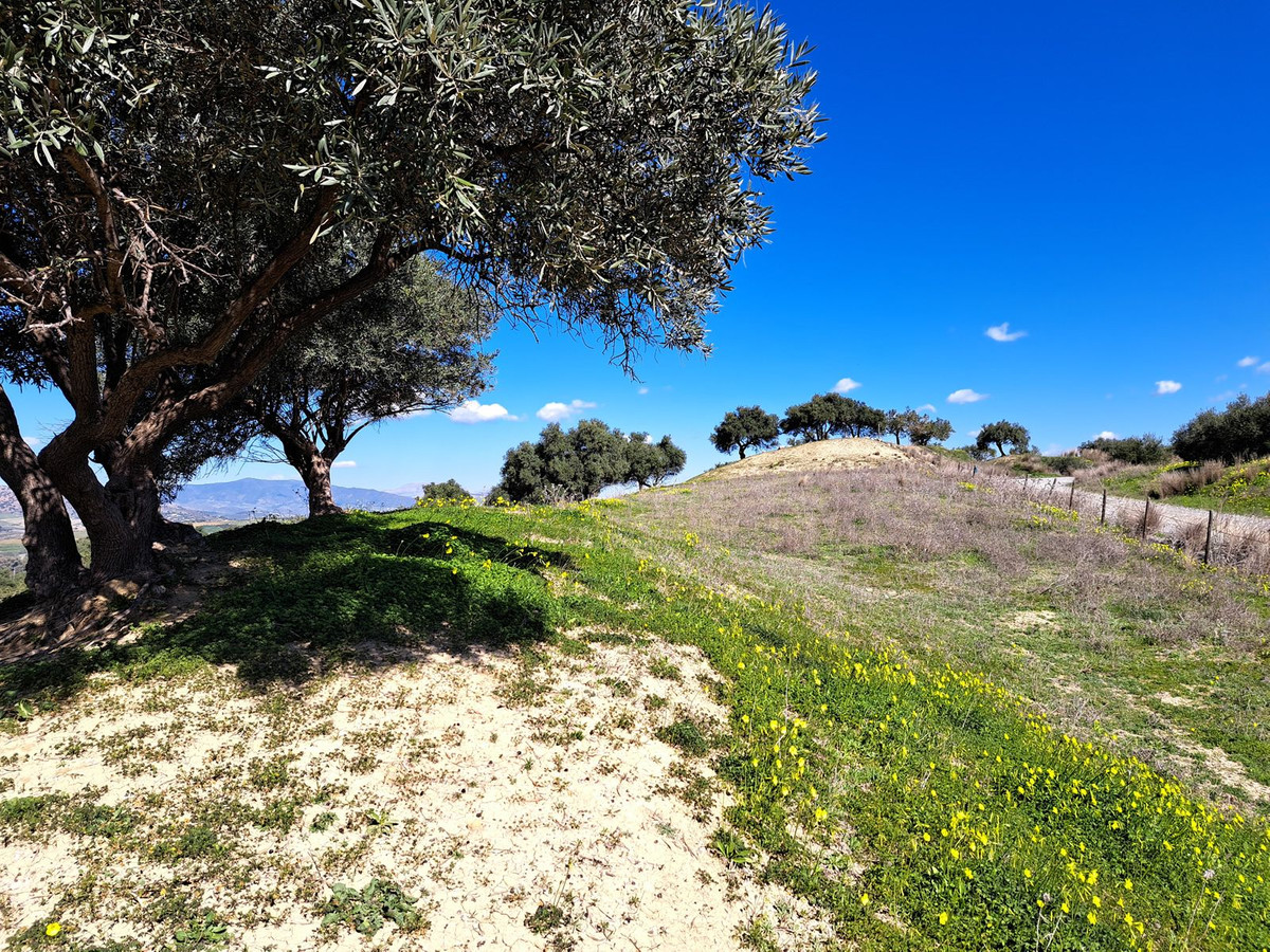 Se vende Terreno Rustico  en Costa Del Sol, Málaga, España
