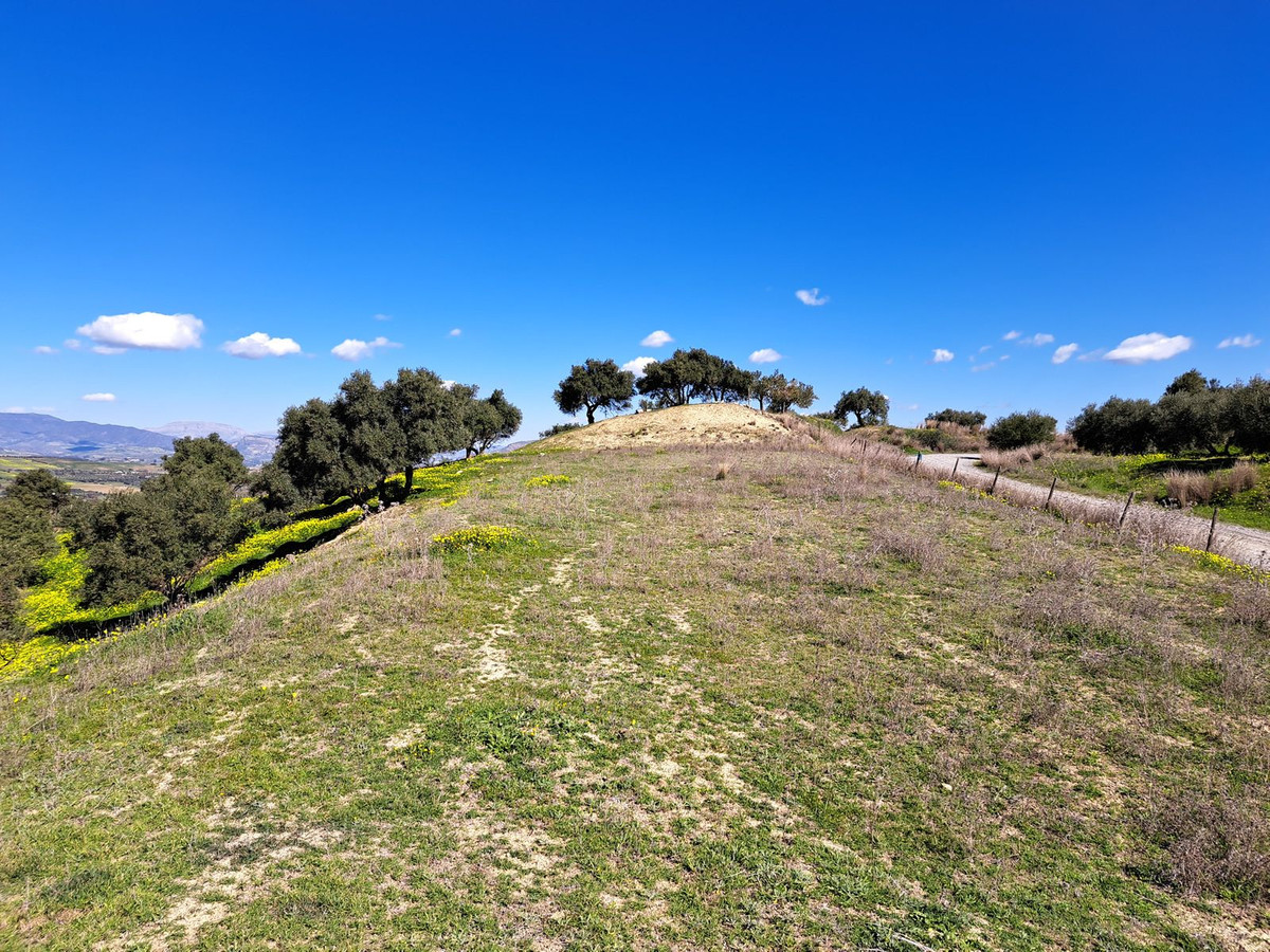 Se vende Terreno Rustico  en Costa Del Sol, Málaga, España