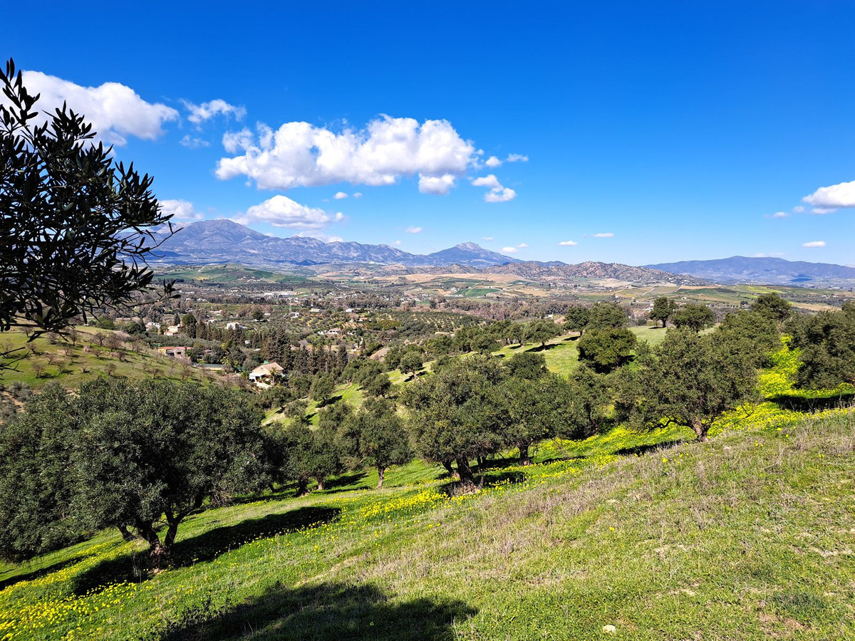 Se vende Terreno Rustico  en Costa Del Sol, Málaga, España