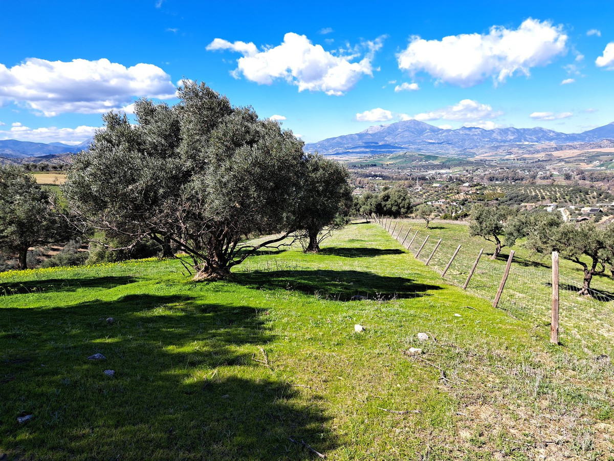 Se vende Terreno Rustico  en Costa Del Sol, Málaga, España