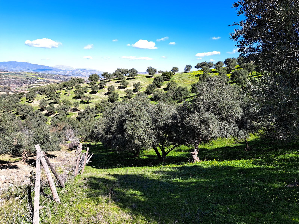Se vende Terreno Rustico  en Costa Del Sol, Málaga, España