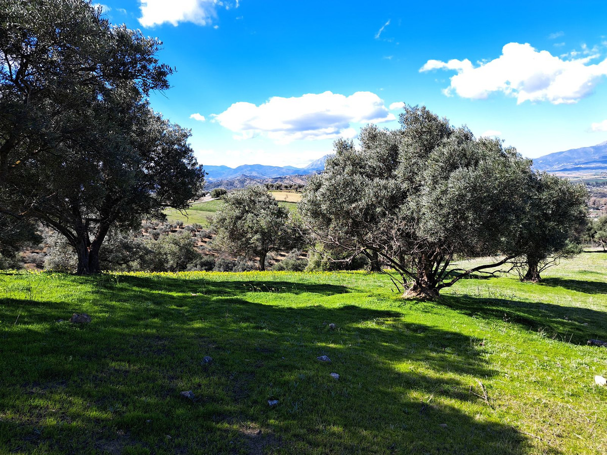 Se vende Terreno Rustico  en Costa Del Sol, Málaga, España