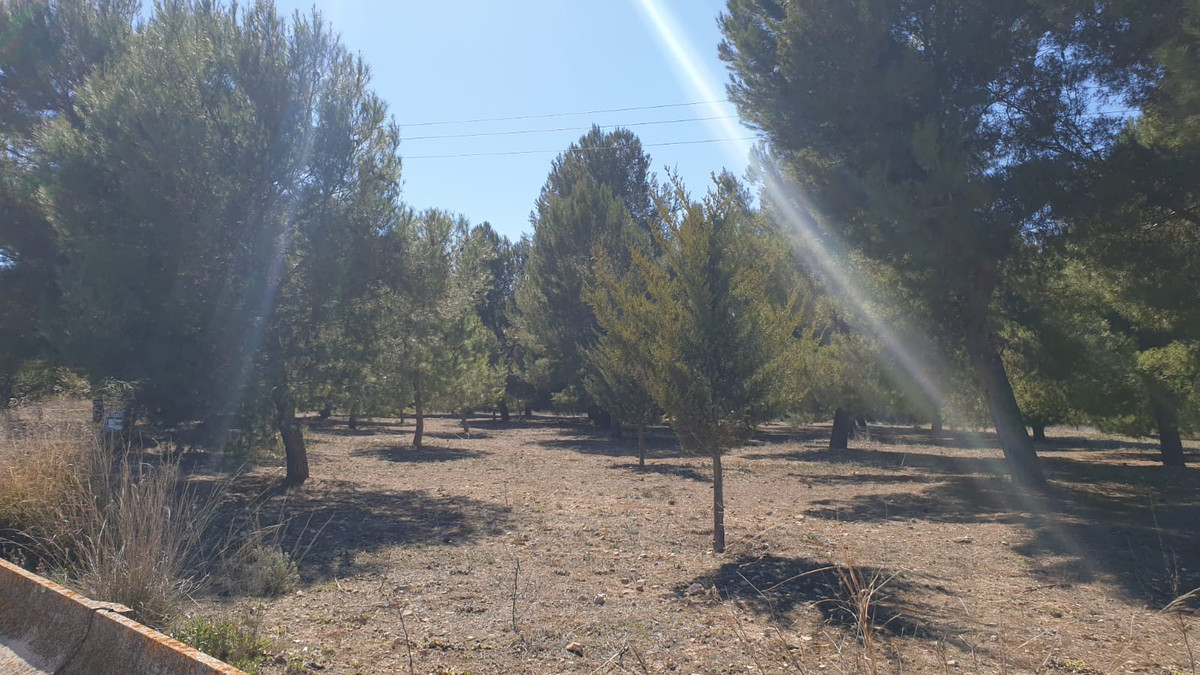 Se vende Terreno Rustico  en Costa Blanca, Alicante, España