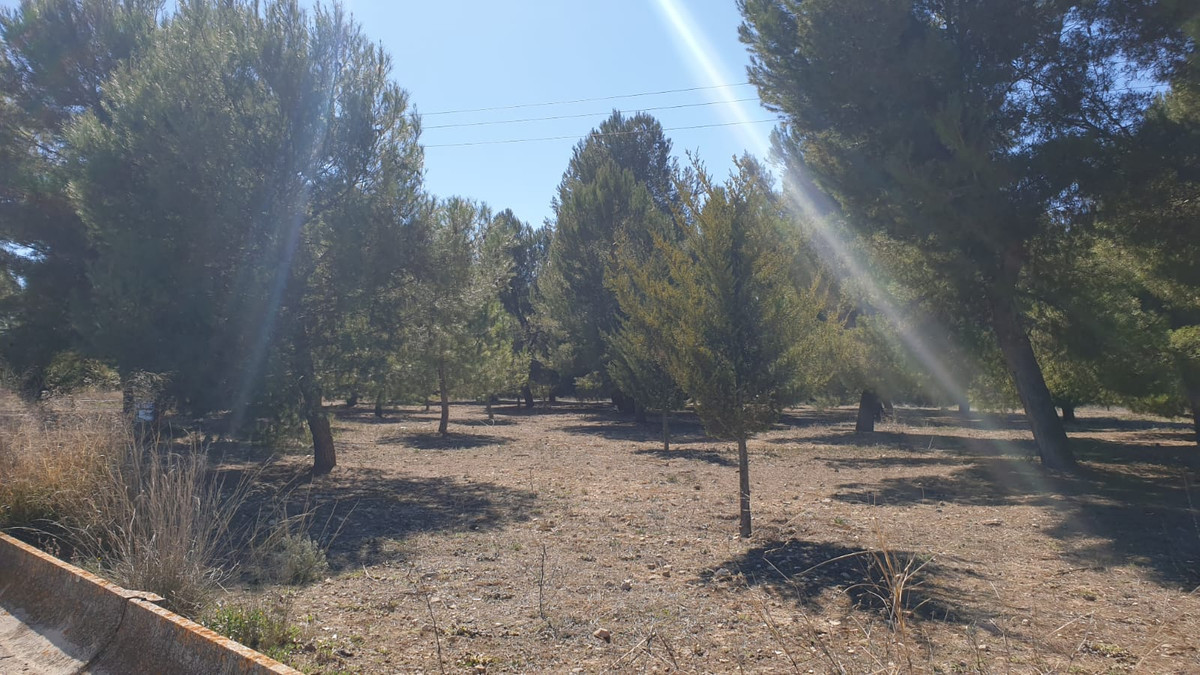 Se vende Terreno Rustico  en Costa Blanca, Alicante, España