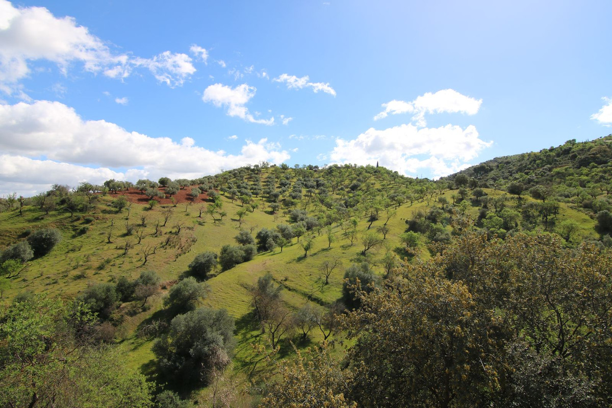 Plots for sale in Guaro Costa Del Sol, Málaga, Spain