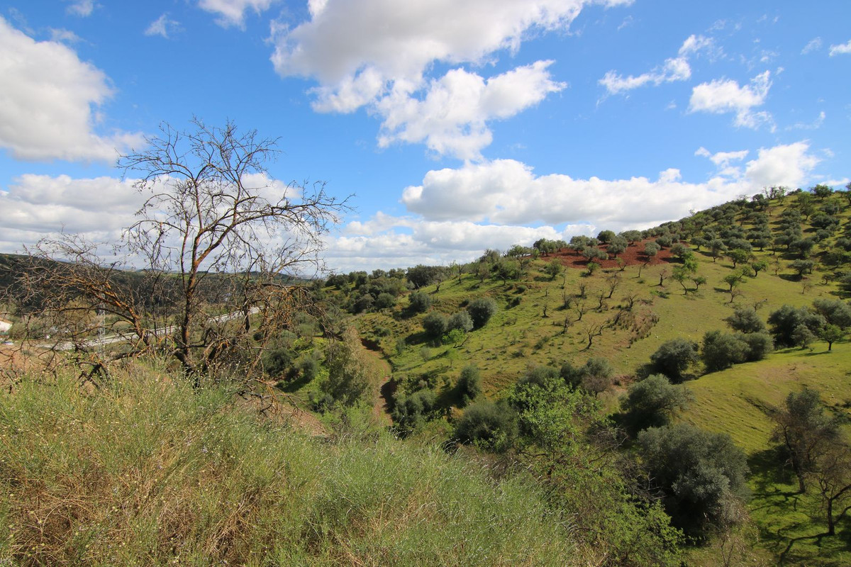 Plots for sale in Guaro Costa Del Sol, Málaga, Spain