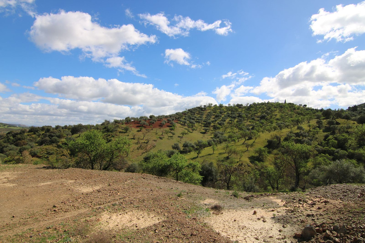 Plots for sale in Guaro Costa Del Sol, Málaga, Spain