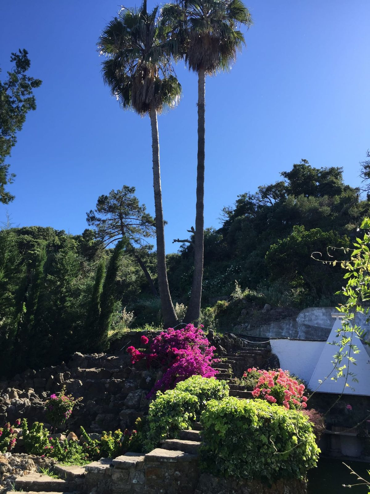 Se vende Finca - Cortijo de 7 dormitorios en Costa Del Sol, Cadiz, España