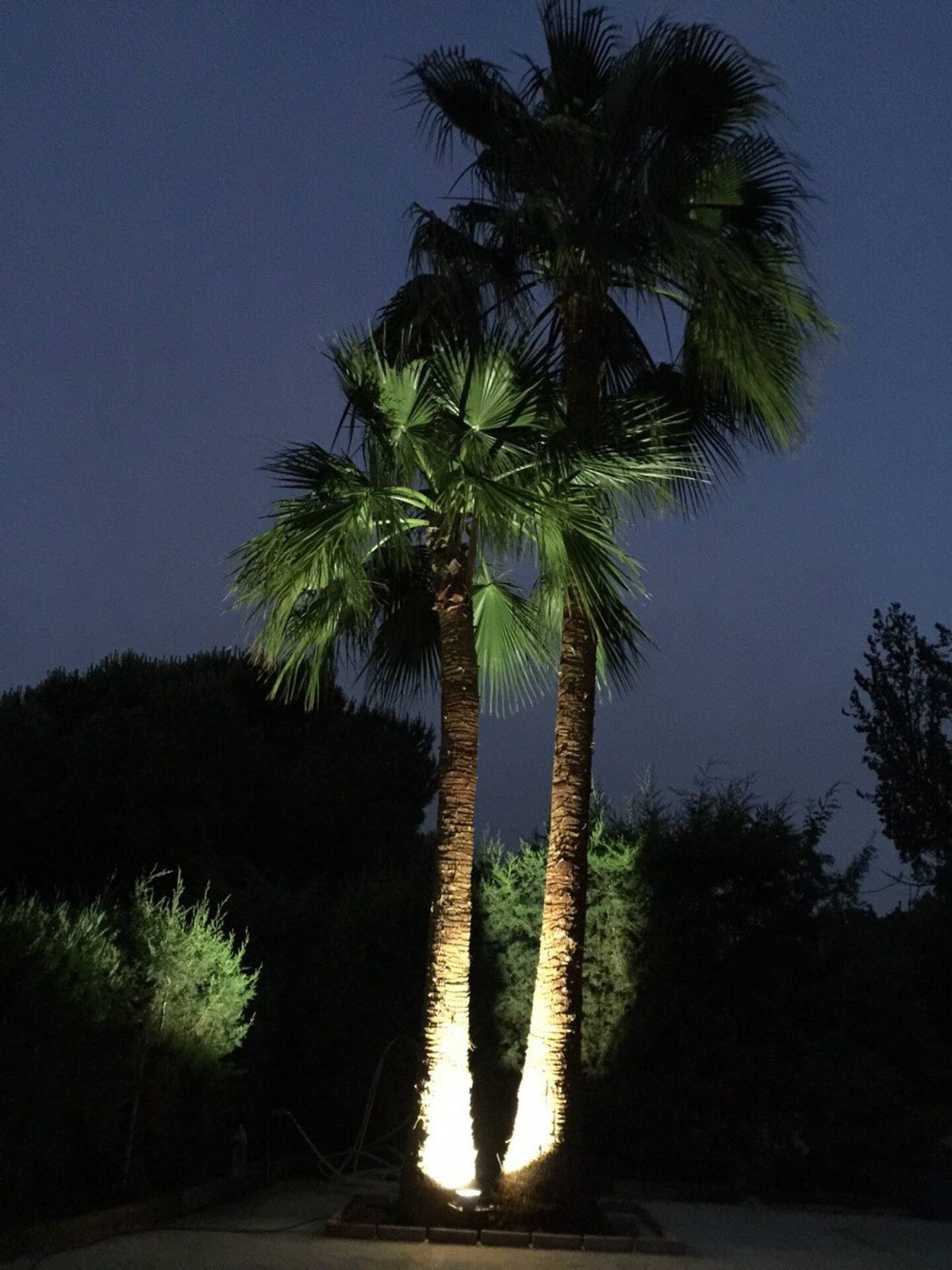 Se vende Finca - Cortijo de 7 dormitorios en Costa Del Sol, Cadiz, España