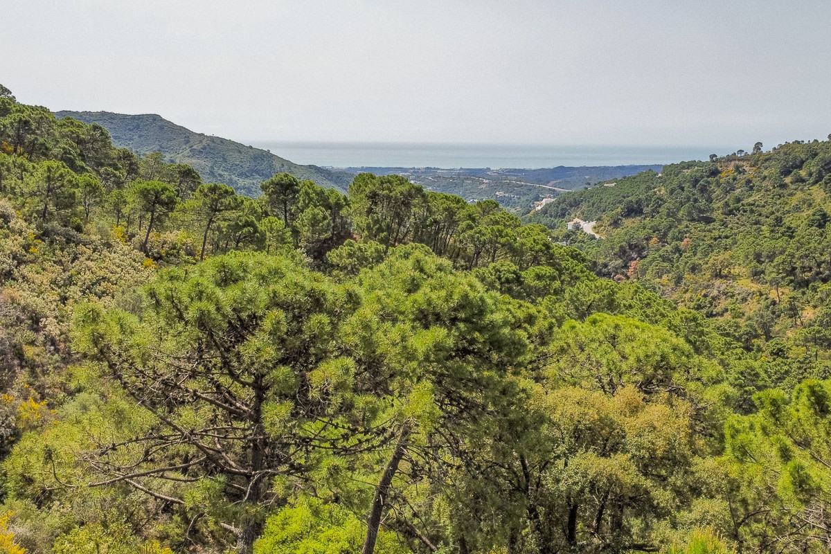 Se vende Terreno Rustico  en Costa Del Sol, Málaga, España
