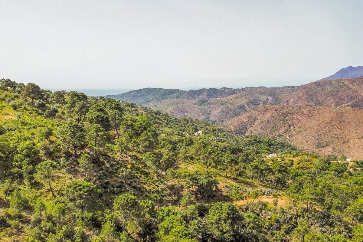 Se vende Terreno Rustico  en Costa Del Sol, Málaga, España