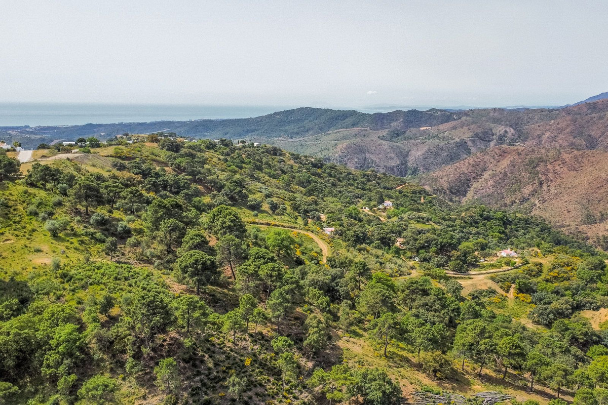 Se vende Terreno Rustico  en Costa Del Sol, Málaga, España