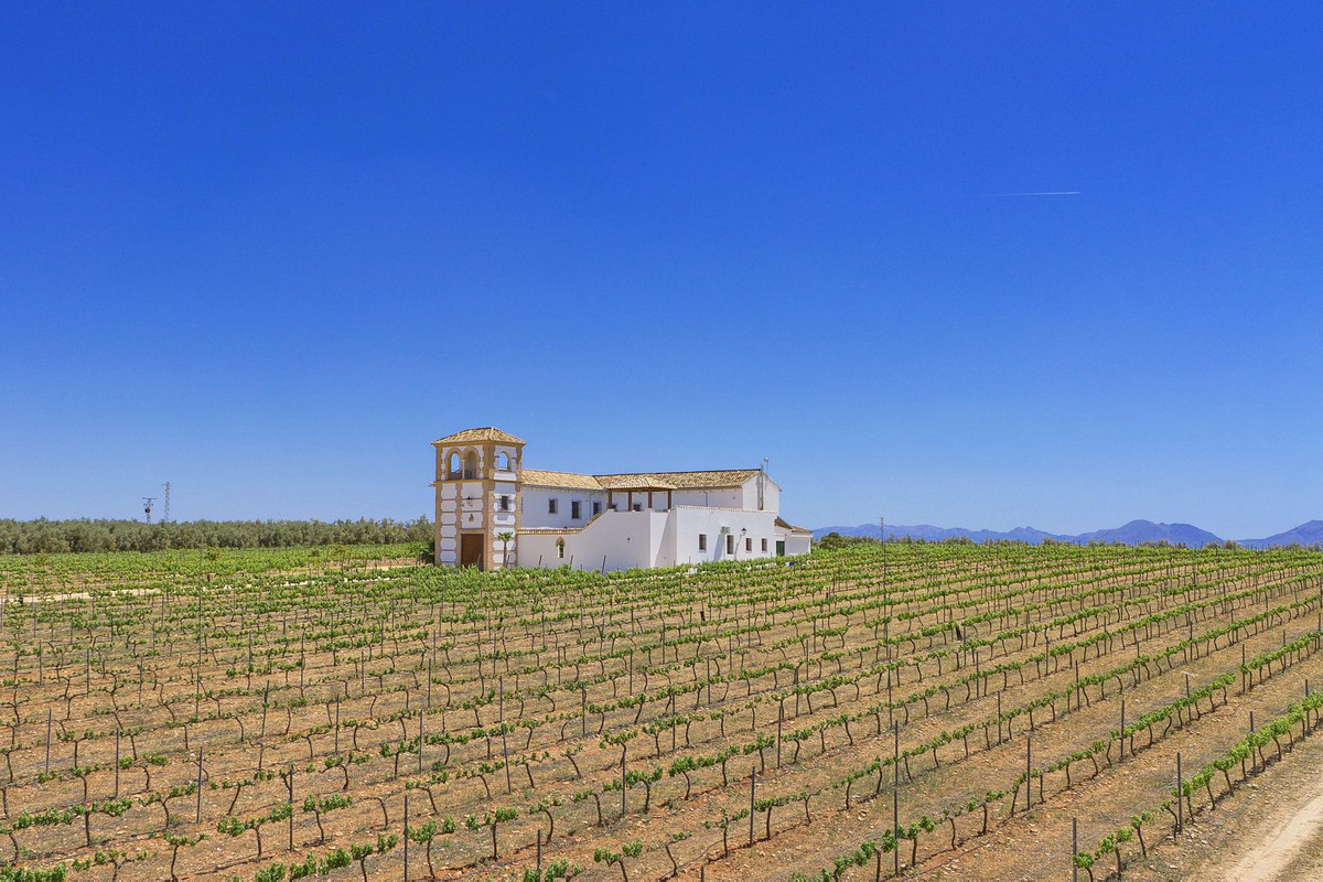 Se vende Finca - Cortijo de 5 dormitorios en Costa Del Sol, Málaga, España