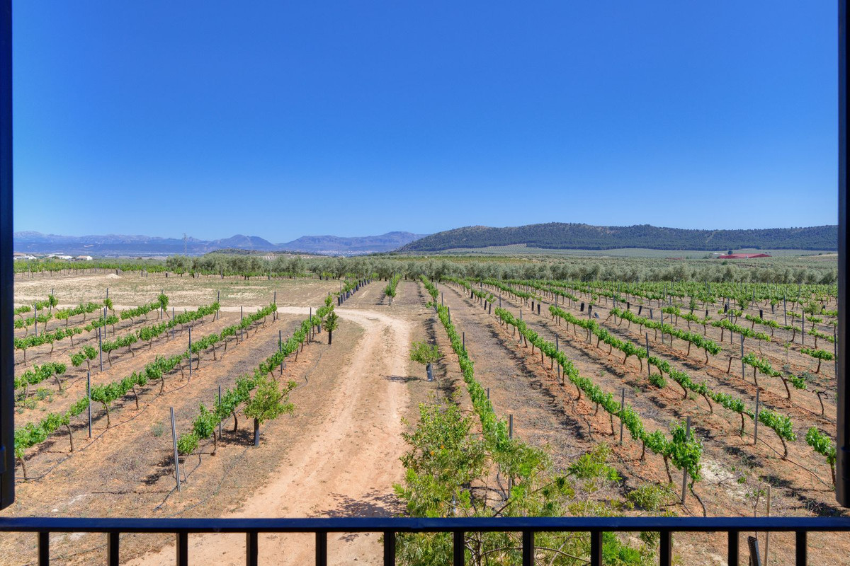 Se vende Finca - Cortijo de 5 dormitorios en Costa Del Sol, Málaga, España