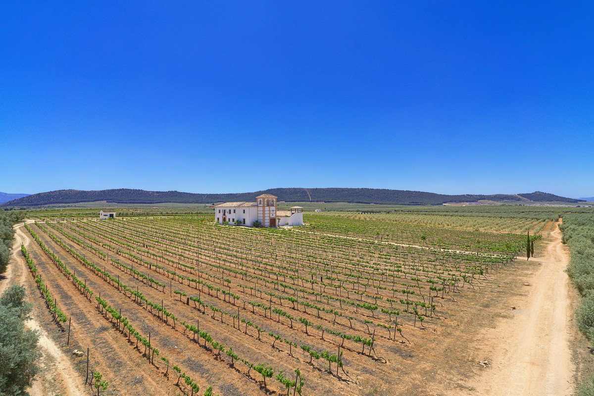 Se vende Finca - Cortijo de 5 dormitorios en Costa Del Sol, Málaga, España