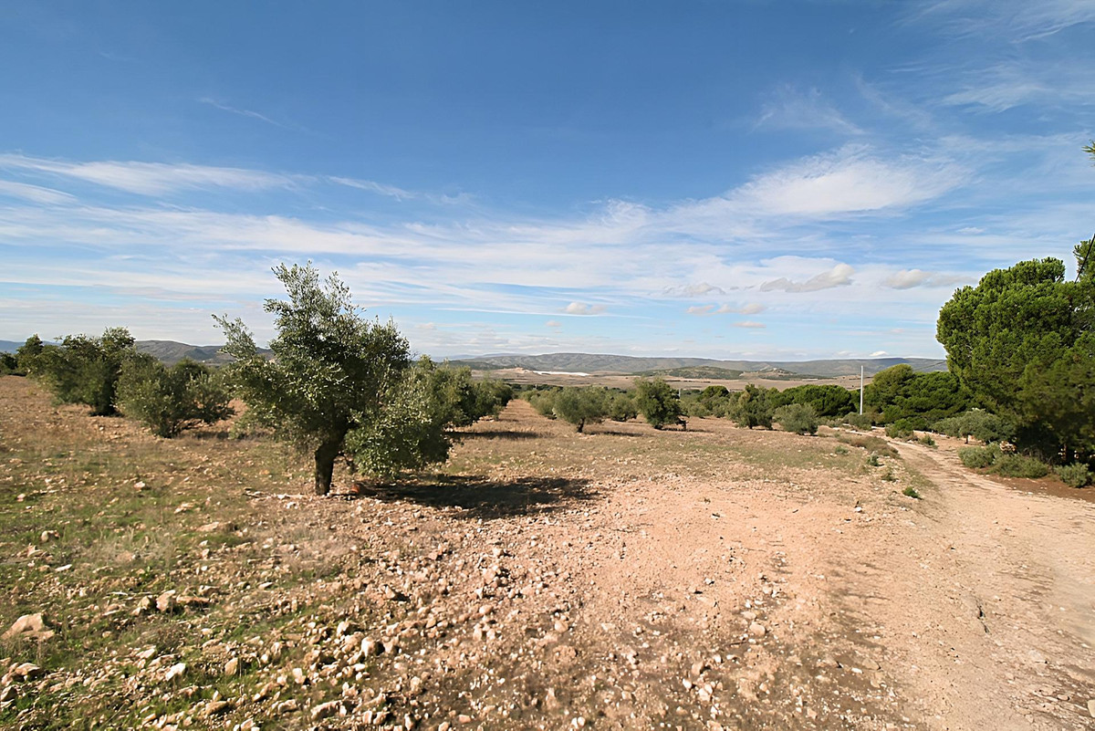 Se vende Terreno Rustico  en Costa Blanca, Alicante, España