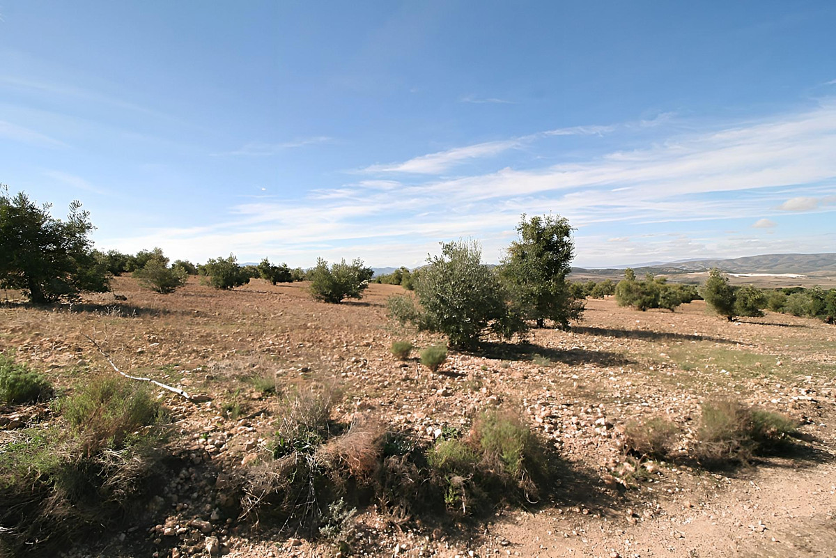 Se vende Terreno Rustico  en Costa Blanca, Alicante, España