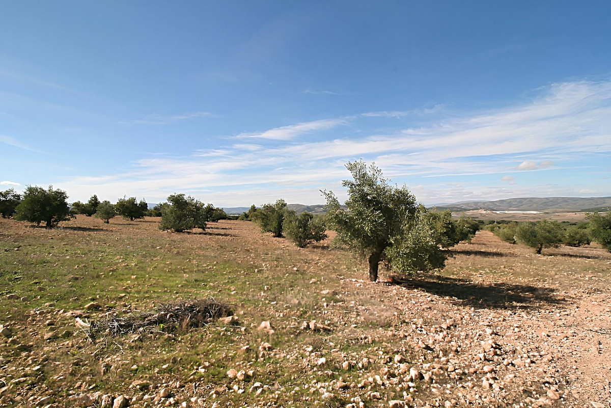 Se vende Terreno Rustico  en Costa Blanca, Alicante, España